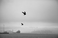 (Photo Credit: Jill Jichetti. Staten Island.)